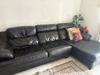 (Category: ) located in . Submitted by sofia7890 (Listing ID 1423056367, Image 1). Description: .