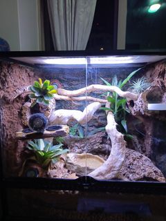(Category: ) located in . Submitted by haofish (Listing ID 1423020498, Image 1). Description: .