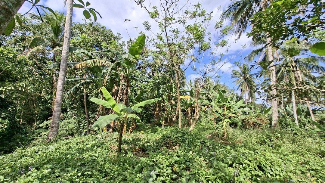 Farm Lot (Category: Lot) located in Makati City. Submitted by ulycarousel456 (Listing ID 1423039191, Image 3). Description: 🌿 OWN YOUR COOL-CLIMATE ESCAPE IN LIPA CITY! 🌿 📍 12,000 sqm 📄 3 Clean Titles 💰 ONLY ₱1,500 per sqm Imagine waking up to fresh air, surrounded by fruit-bearing trees, in the peaceful climate of Calamias, Ibaan — just a little over an hour from Manila. Perfect for: ✔ Retirement home ✔ Private resort ✔ Weekend getaway ✔ Lo