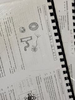 （分類：）位於 。 由 stronzy_ay 提交（商品編號 1423044727，圖片 1）。簡介： 。