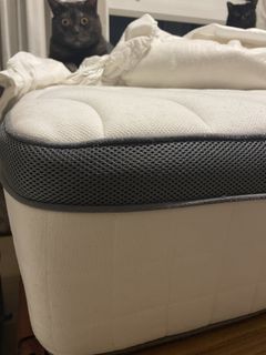 (Category: ) located in . Submitted by minstreamed (Listing ID 1423042598, Image 1). Description: .