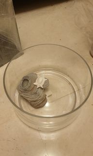 (Category: ) located in . Submitted by sq7788 (Listing ID 1422927927, Image 1). Description: .
