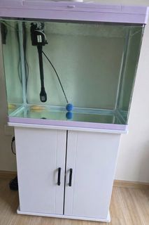 (Category: ) located in . Submitted by hnguyen2712 (Listing ID 1423198588, Image 1). Description: .
