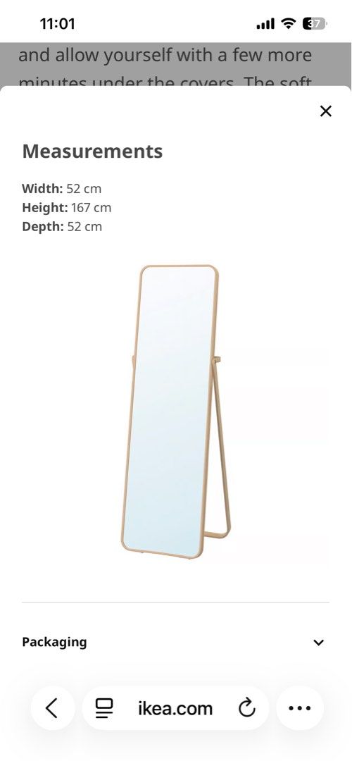IKEA standing mirror444602091381073921