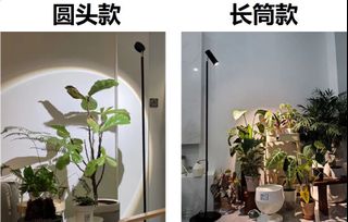 （分類：）位於 。 由 aaaccccaaa 提交（商品編號 1423218946，圖片 1）。簡介： 。