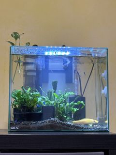 (Category: ) located in . Submitted by lnwvchung (Listing ID 1423434447, Image 1). Description: .