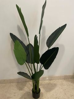 (Category: ) located in . Submitted by juntaro1124 (Listing ID 1423363118, Image 1). Description: .