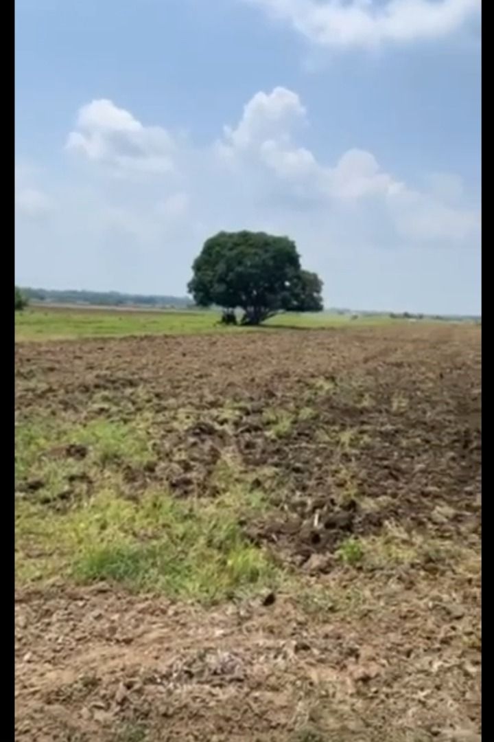 RUSH FARM LOT FOR SALE (Category: Lot) located in Caloocan City. Submitted by am48gotash06883 (Listing ID 1423352419, Image 2). Description: Are you looking for retirement business? O kahit ndi pang retirement, pang business pdeng pde. At taga pangasinan ka? Meron kaming FARMLOT FOR SALE, 2hectares. Located in BAYAMBANG PANGASINAN, 5 to 10 mins away sa st vincent ferrer statue and prayer park and Newest amusement park Blue sky. With Clean title a