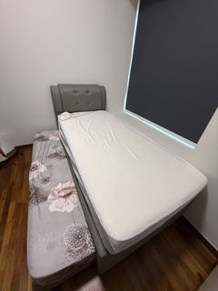 (Category: ) located in . Submitted by kimchigal (Listing ID 1423269013, Image 1). Description: .