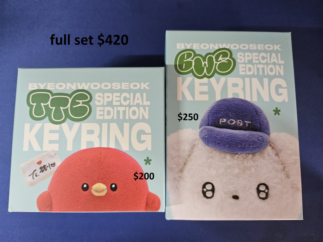 背著善宰跑 邊佑錫 周邊公仔 BWS TTE KEYRING / HBD BWS SET, 興趣及遊戲, 收藏品及紀念品, 韓流 ...
