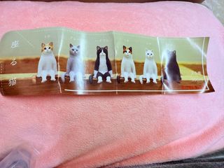 （分類：）位於 。 由 cindylko 提交（商品編號 1423592304，圖片 1）。簡介： 。