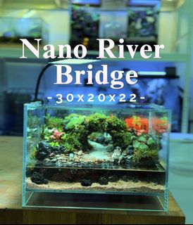 (Category: ) located in . Submitted by nature_art_studio (Listing ID 1423523178, Image 1). Description: .