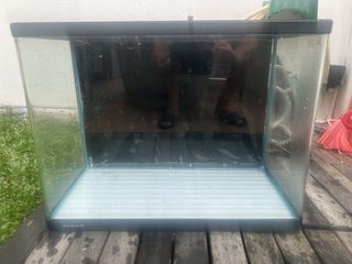 (Category: ) located in . Submitted by cobee1720 (Listing ID 1423483793, Image 1). Description: .