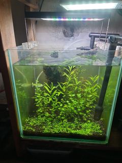 (Category: ) located in . Submitted by afir81 (Listing ID 1423589489, Image 1). Description: .