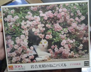 （分類：）位於 。 由 dragon.346 提交（商品編號 1423482961，圖片 1）。簡介： 。