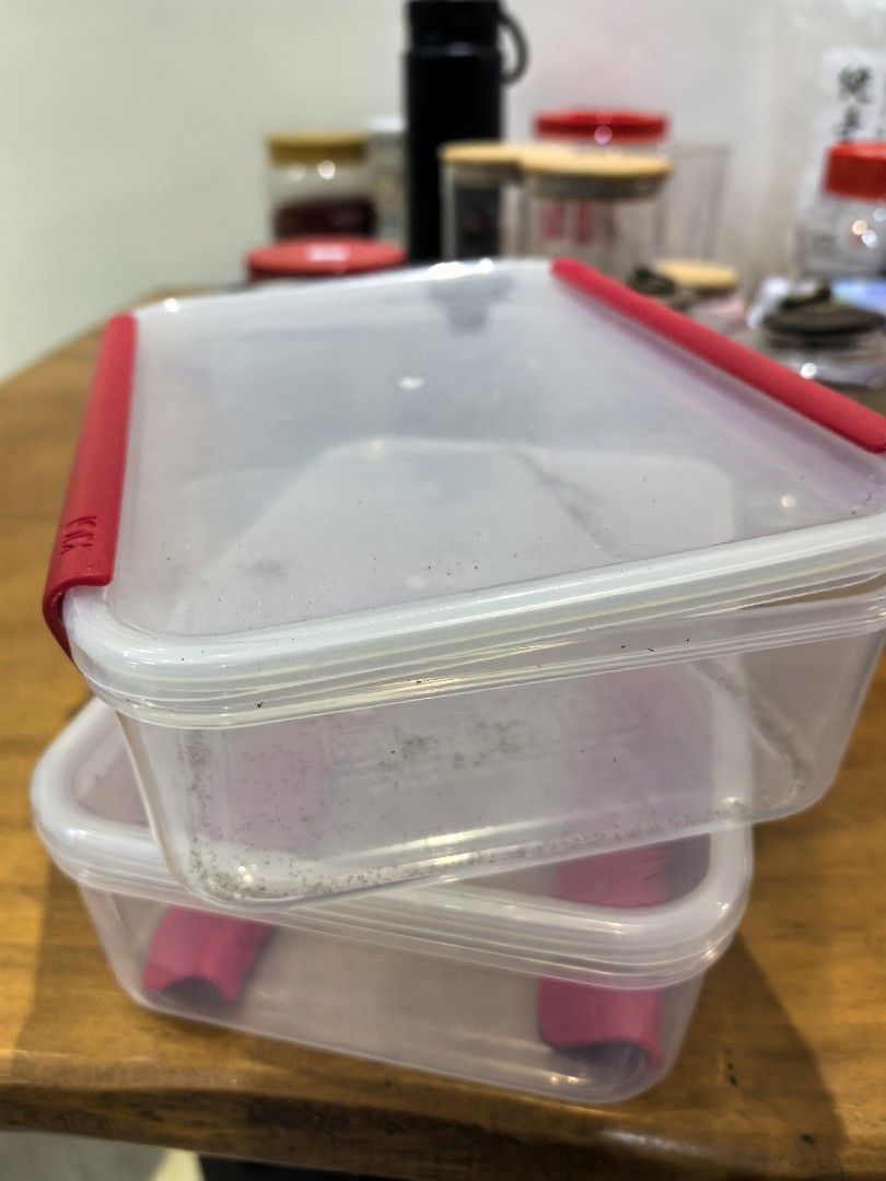 Two of Rectangular Food Storage Container with Red Clips469825731345797120
