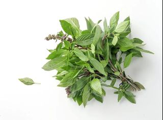 （分類：）位於 。 由 vincentma441 提交（商品編號 1423670694，圖片 1）。簡介： 。