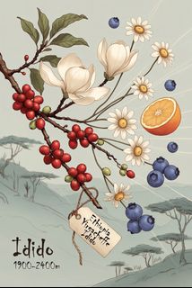 （分類：）位於 。 由 jm79.coffee 提交（商品編號 1423754986，圖片 1）。簡介： 。