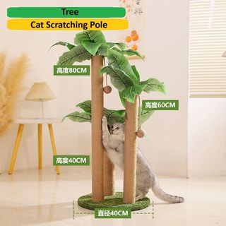 (Category: ) located in . Submitted by funfactory.singapore (Listing ID 1423770455, Image 1). Description: .