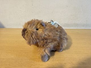 （分類：）位於 。 由 pompommmm 提交（商品編號 1423682000，圖片 1）。簡介： 。
