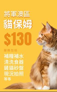 （分類：）位於 。 由 mek_yiu 提交（商品編號 1423761127，圖片 1）。簡介： 。
