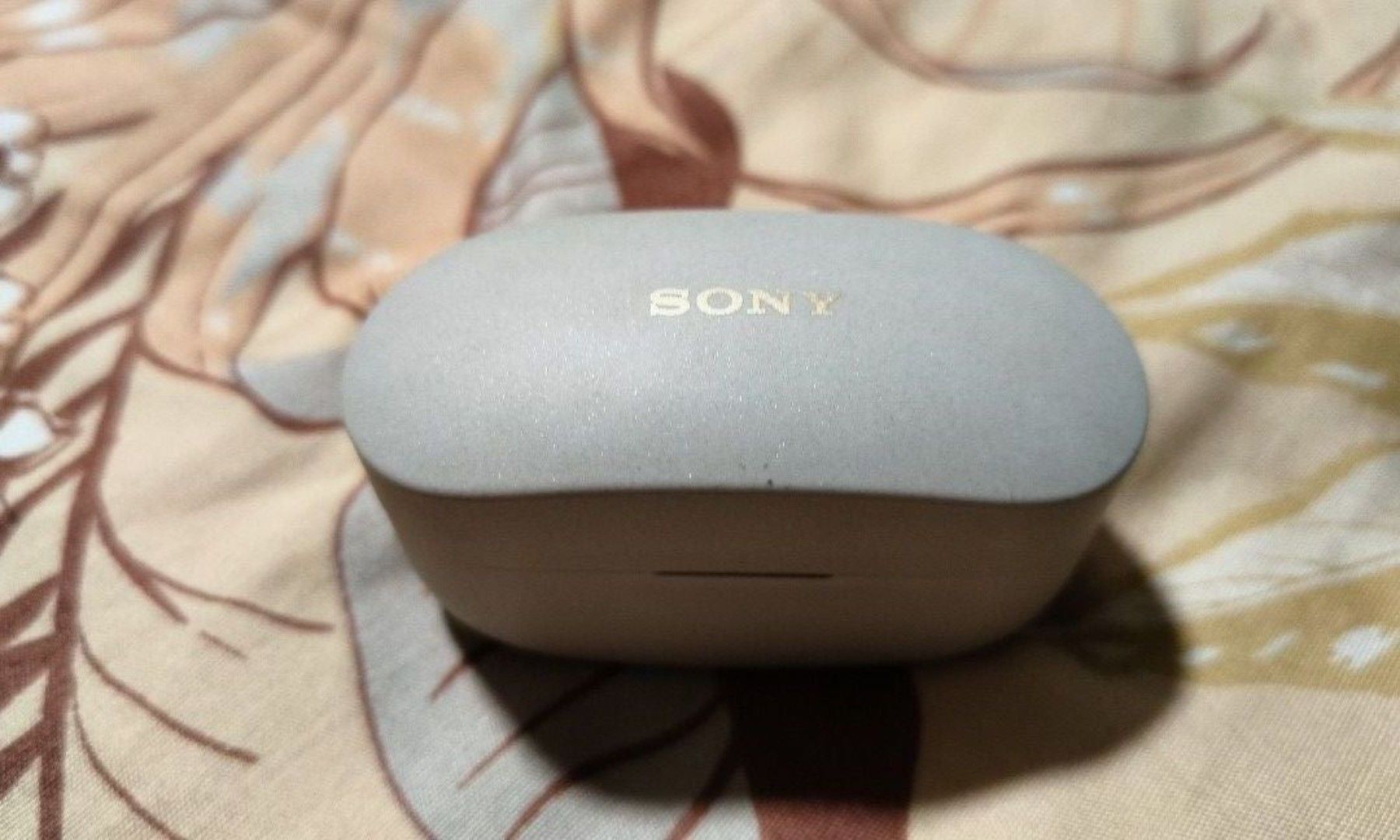 Sony Wireless Earbuds with Charging Case65562680621697110