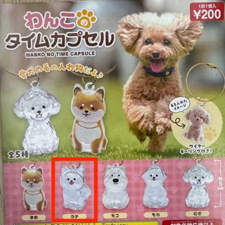 （分類：）位於 。 由 cskit777 提交（商品編號 1423670070，圖片 1）。簡介： 。