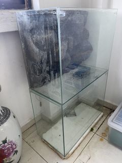 (Category: ) located in . Submitted by maxjie (Listing ID 1391291524, Image 1). Description: .