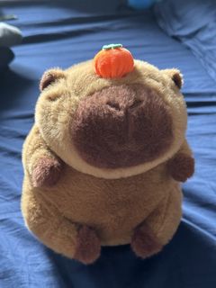 （分類：）位於 。 由 lnhhh 提交（商品編號 1423852179，圖片 1）。簡介： 。