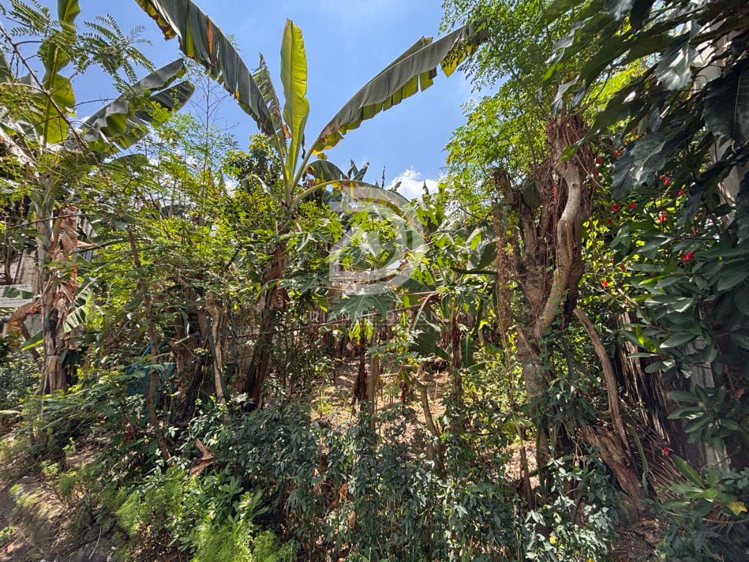 (Category: ) located in . Submitted by habitto (Listing ID 1423860050, Image 1). Description: .