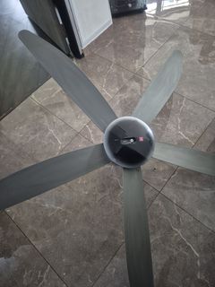 (Category: ) located in . Submitted by esw123 (Listing ID 1423856515, Image 1). Description: .
