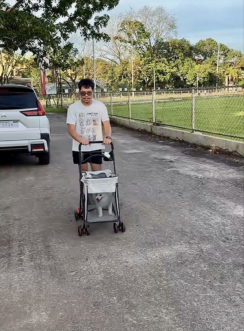 Large Foldable Pet Stroller Trolley Cart (Category: Homes & Other Pet Accessories) located in Makati City. Submitted by apricooutdoors (Listing ID 1423858688, Image 3). Description: Brand new 1 item available .