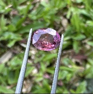 (Category: ) located in . Submitted by sapphire_kingdom (Listing ID 1423868933, Image 1). Description: .