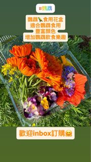 （分類：）位於 。 由 _delightgarden 提交（商品編號 1423796768，圖片 1）。簡介： 。