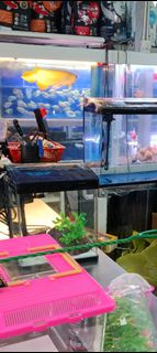 (Category: ) located in . Submitted by eca8289 (Listing ID 1423864192, Image 1). Description: .