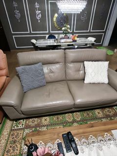 (Category: ) located in . Submitted by muhammad__danial (Listing ID 1423949676, Image 1). Description: .