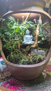 (Category: ) located in . Submitted by kaoriflorist (Listing ID 1423792262, Image 1). Description: .