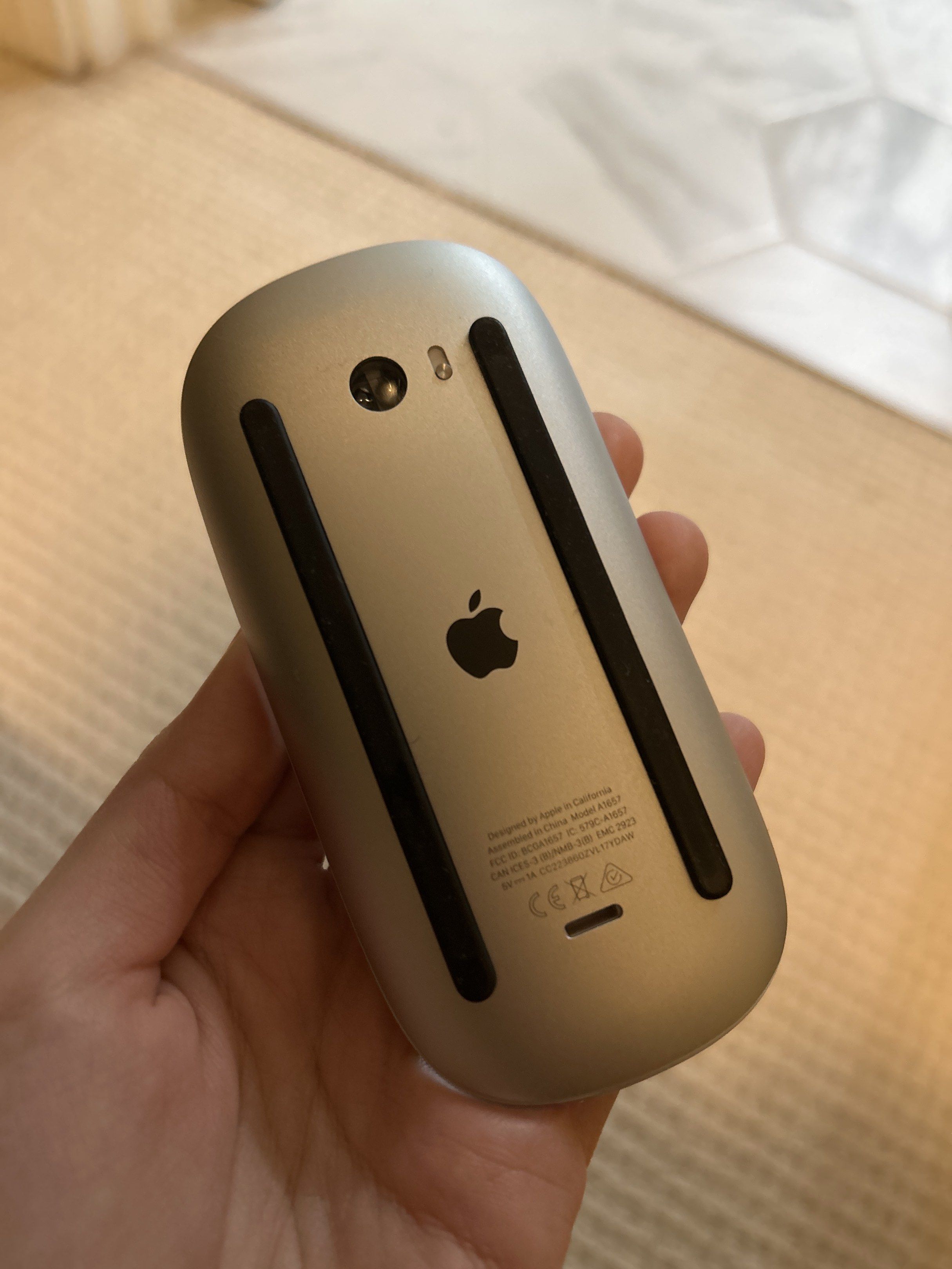 Apple Magic Mouse446065962386073603