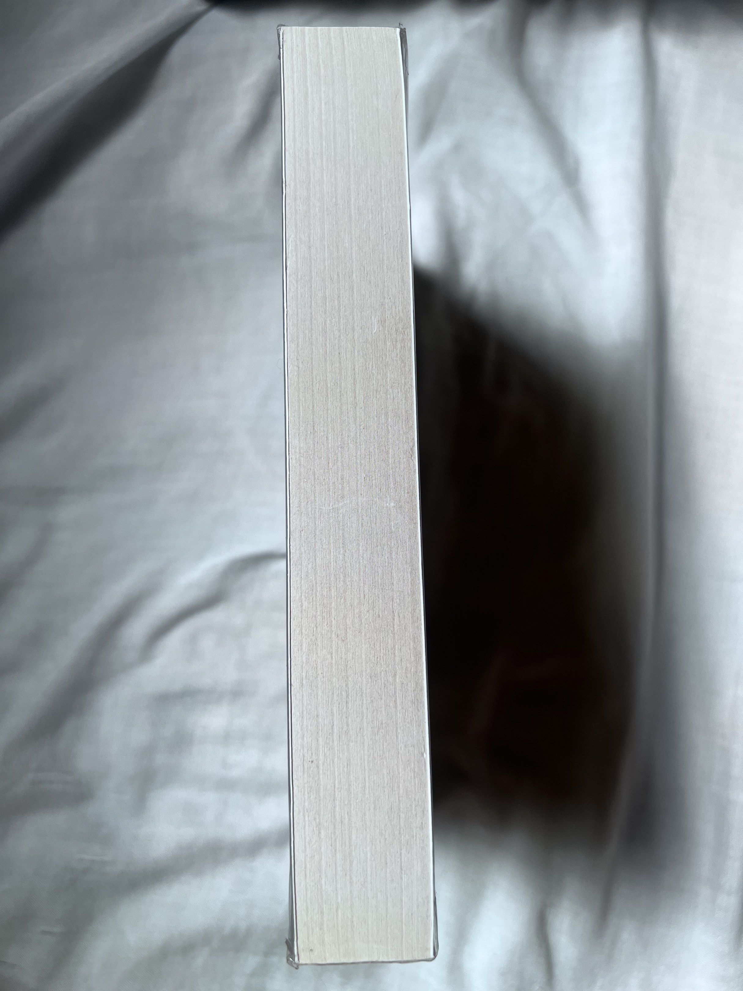 Belladonna by Adalyn Grace (Category: Storybooks) located in Quezon City. Submitted by wabisabiiiii (Listing ID 1419404527, Image 3). Description: - Belladonna by Adalyn Grace - Brand New - Published by Hodderscape.