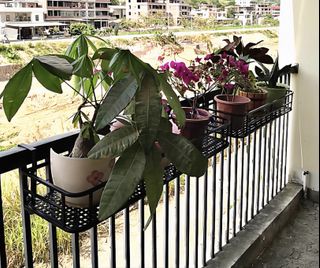 (Category: ) located in . Submitted by moana. (Listing ID 1419505162, Image 1). Description: .
