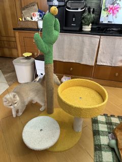 （分類：）位於 。 由 orange1202 提交（商品編號 1419466050，圖片 1）。簡介： 。