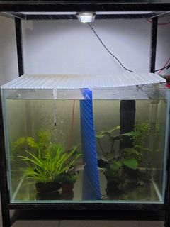 (Category: ) located in . Submitted by troy139 (Listing ID 1419534787, Image 1). Description: .