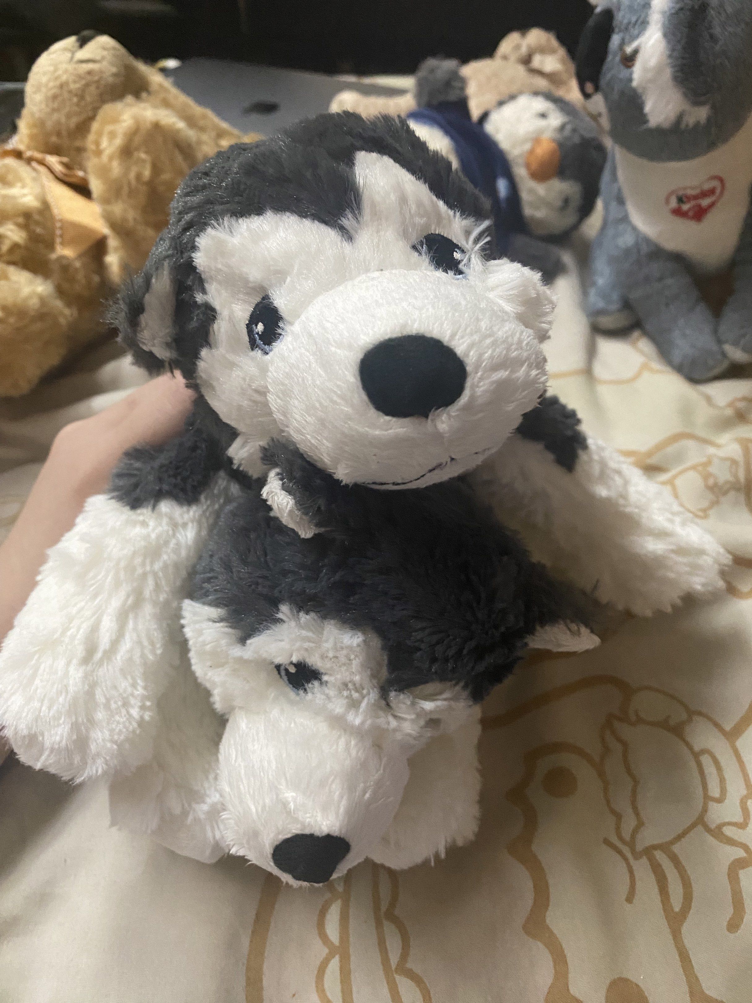 Ikea Husky Plush Toy (Category: Plushies & Soft Toys) located in Manila. Submitted by lolipopsjnshshs (Listing ID 1419471018, Image 1). Description: Cut tags .