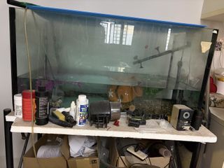 (Category: ) located in . Submitted by ilovingit123 (Listing ID 1419588618, Image 1). Description: .