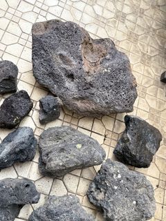 （分類：）位於 。 由 69.boyka.69 提交（商品編號 1419444034，圖片 1）。簡介： 。