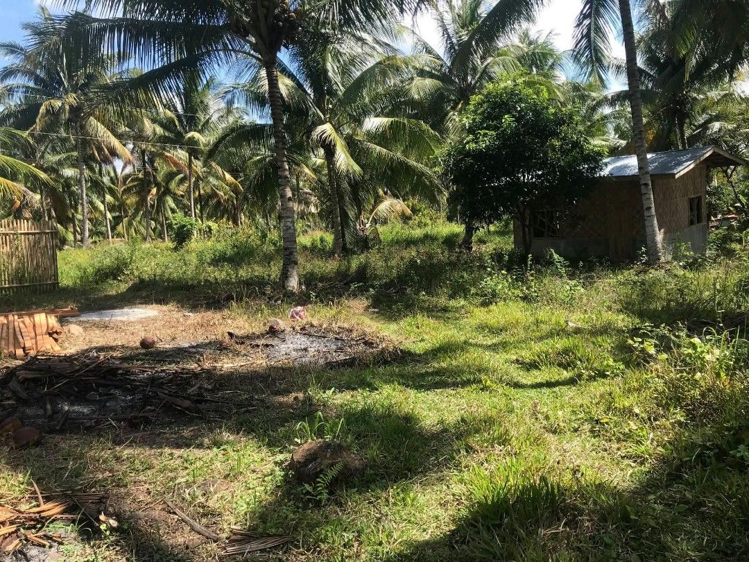 Lot for sale 100sqm (Category: Lot) located in Davao. Submitted by jaylim1620 (Listing ID 1419513077, Image 1). Description: Open deed of sale Davao bato toril location 100sqm Ready for titling.