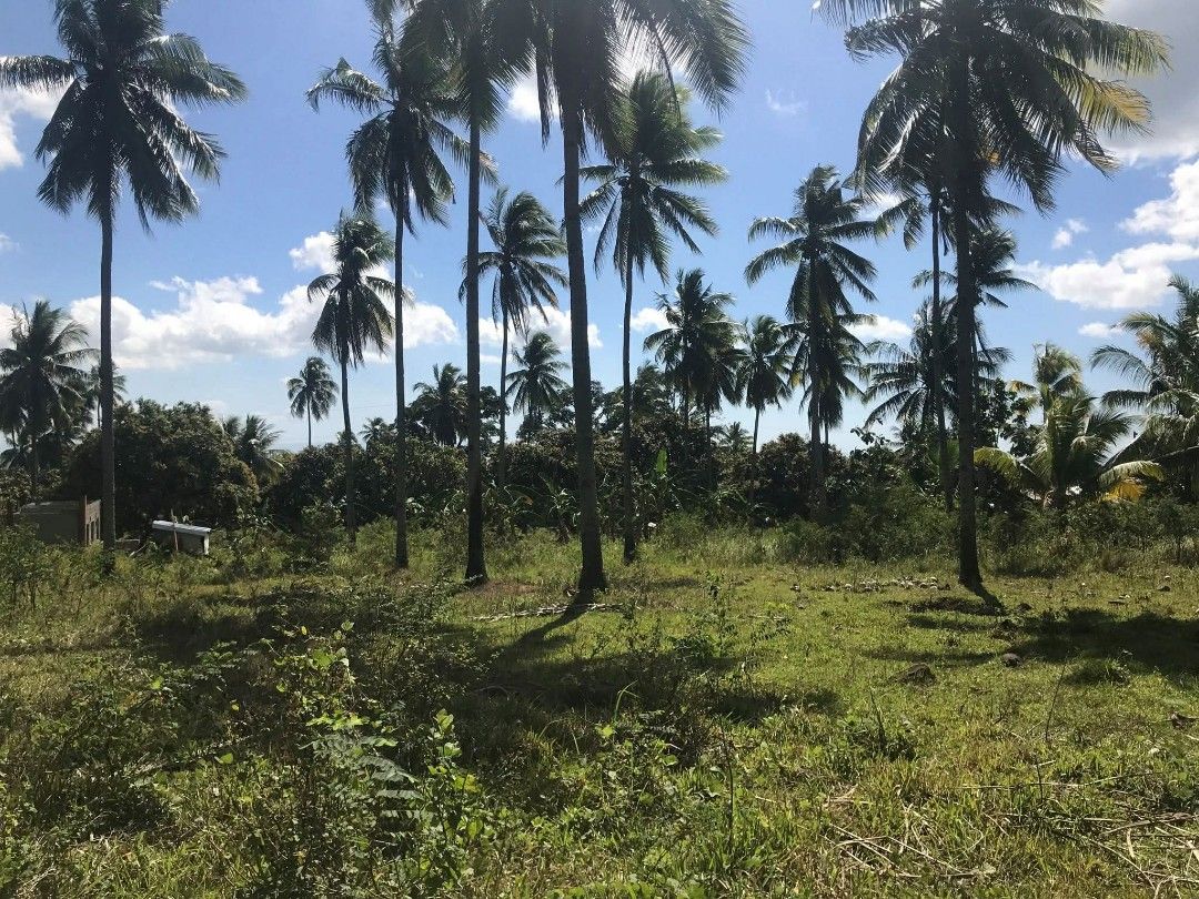 Lot for sale 100sqm (Category: Lot) located in Davao. Submitted by jaylim1620 (Listing ID 1419513077, Image 3). Description: Open deed of sale Davao bato toril location 100sqm Ready for titling.