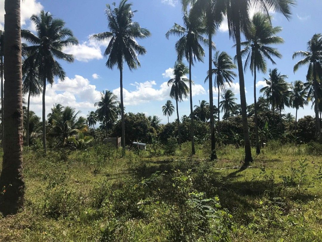 Lot for sale 100sqm (Category: Lot) located in Davao. Submitted by jaylim1620 (Listing ID 1419513077, Image 2). Description: Open deed of sale Davao bato toril location 100sqm Ready for titling.
