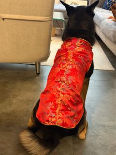 （分類：）位於 。 由 chermxx 提交（商品編號 1419474010，圖片 1）。簡介： 。
