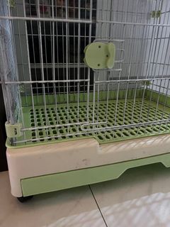 (Category: ) located in . Submitted by yscparrot (Listing ID 1419420146, Image 1). Description: .